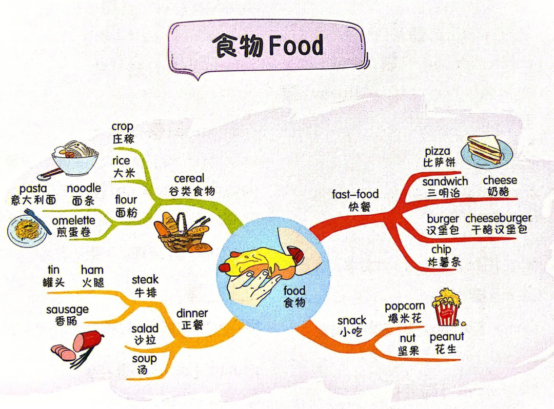 食物分类思维导图图片