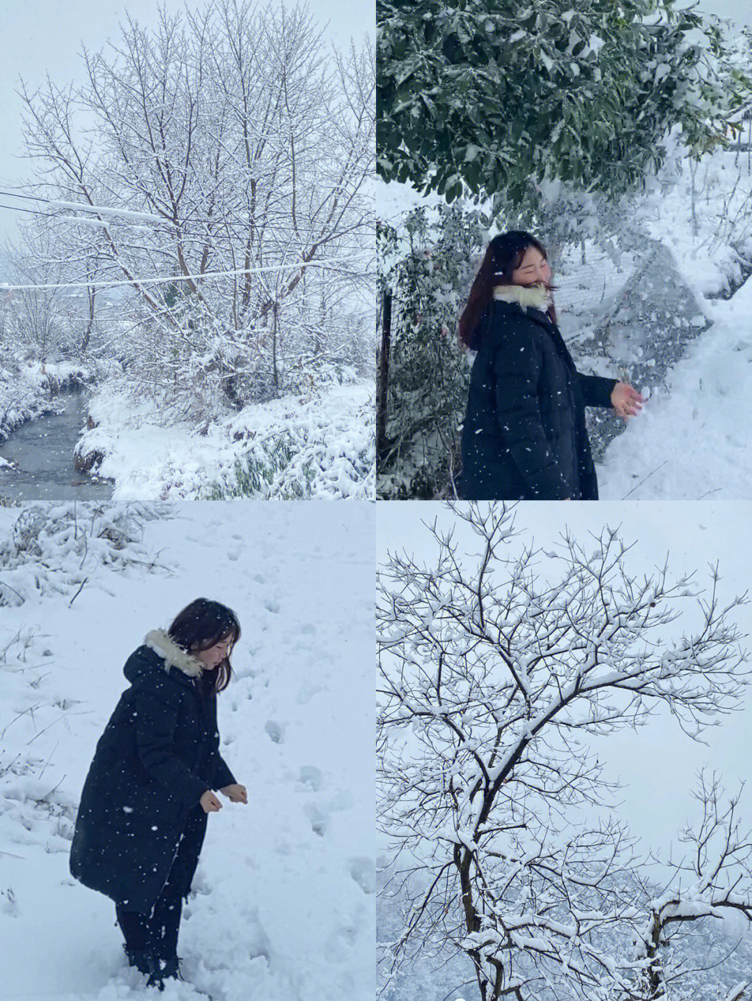 九江看雪该不会只有你还没来九江看雪吧