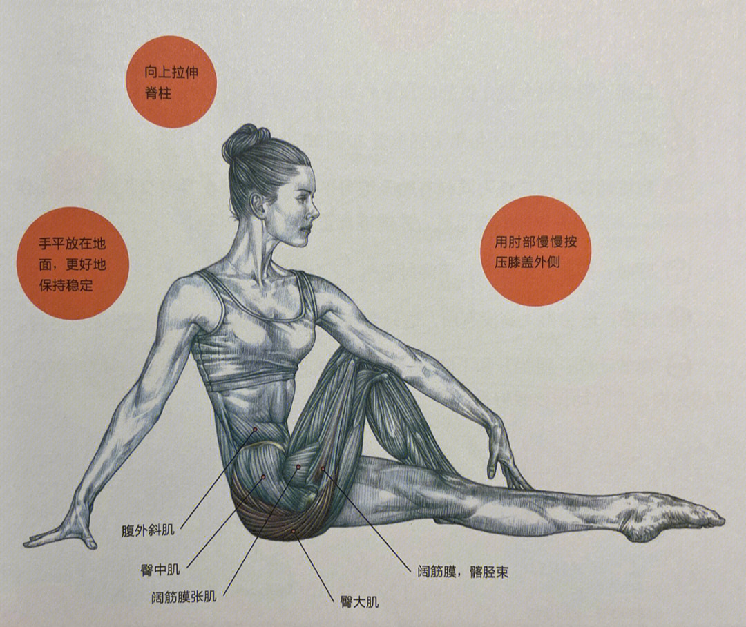 臀大肌拉伸方法图解图片