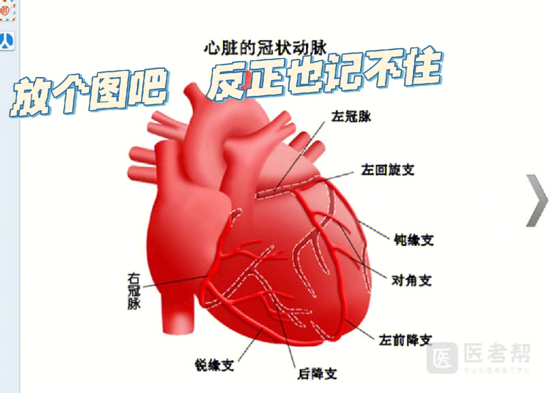 老师想跟我坐诊还是跟其他老师