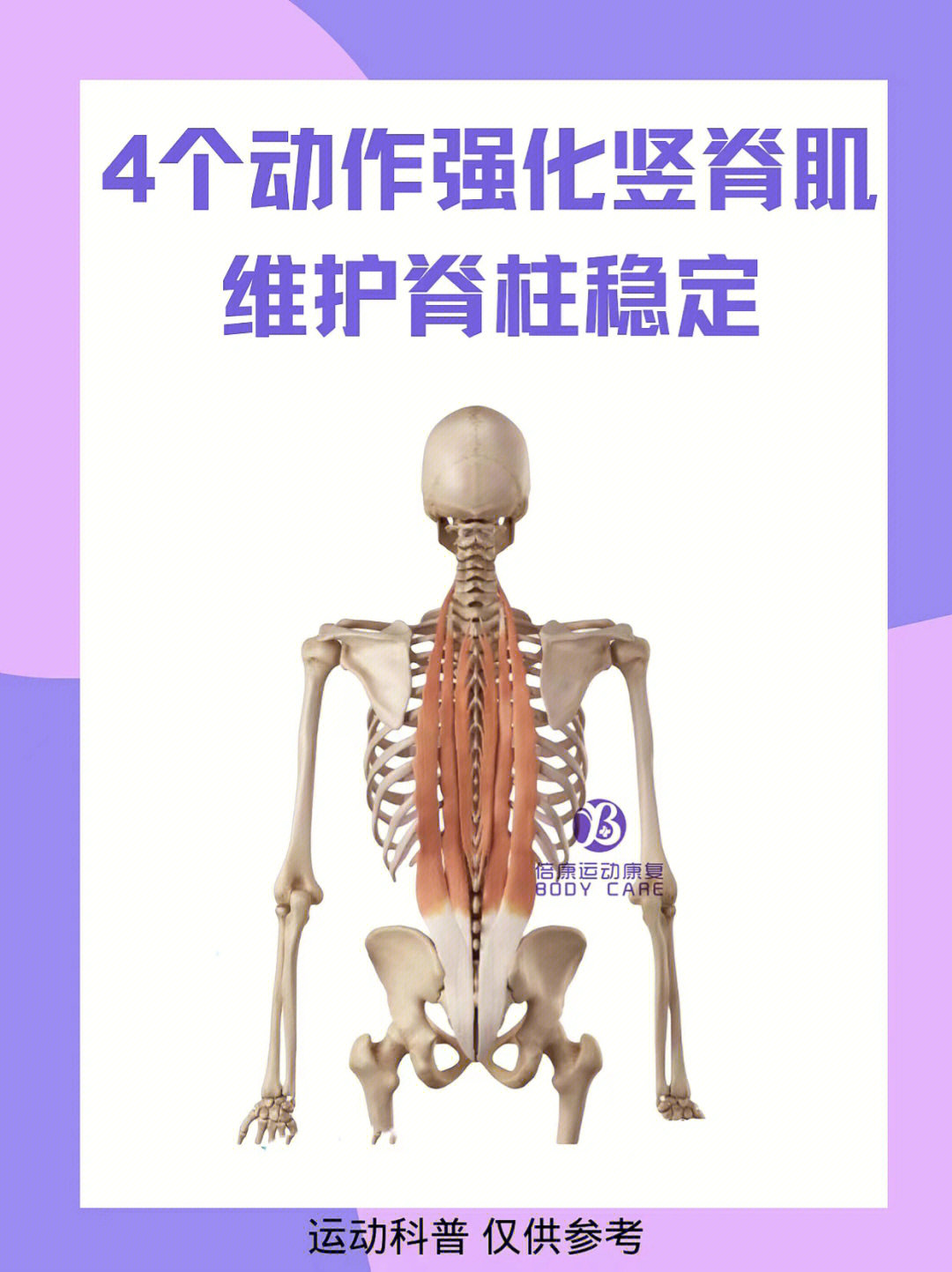 4个动作强化竖脊肌维护脊柱稳定