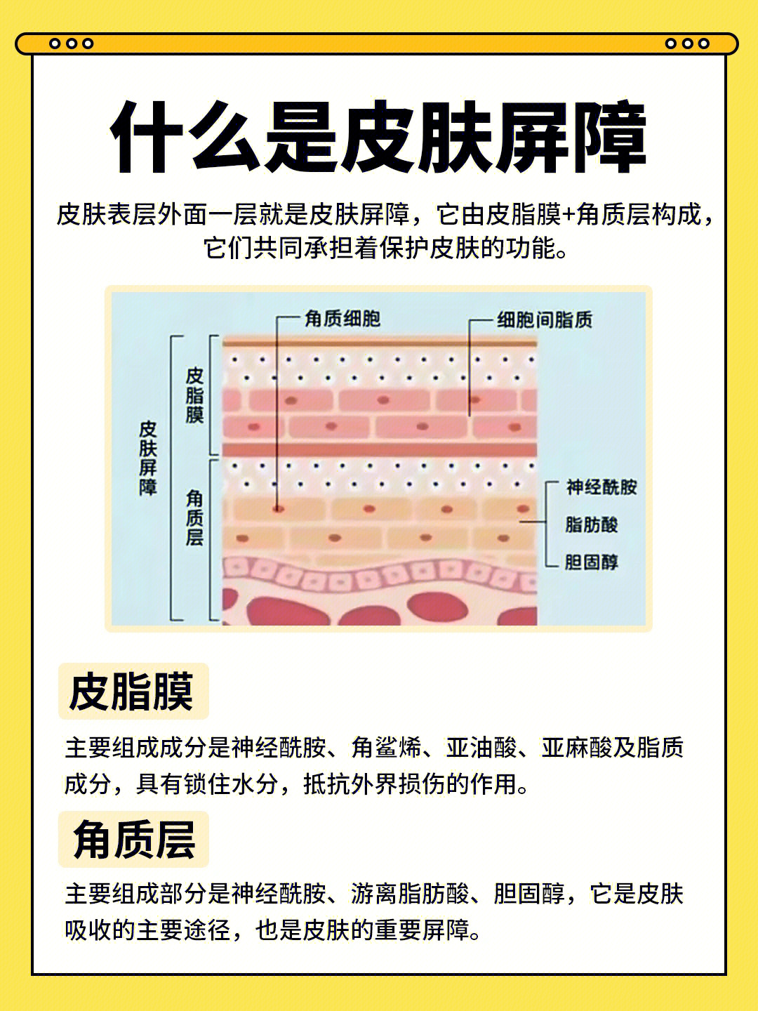 皮肤屏障到底是什么71受损原因修复方法