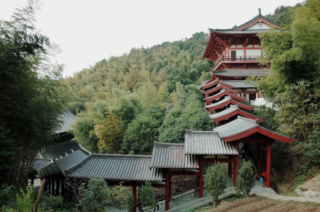 宁波九龙湖香山寺主持图片