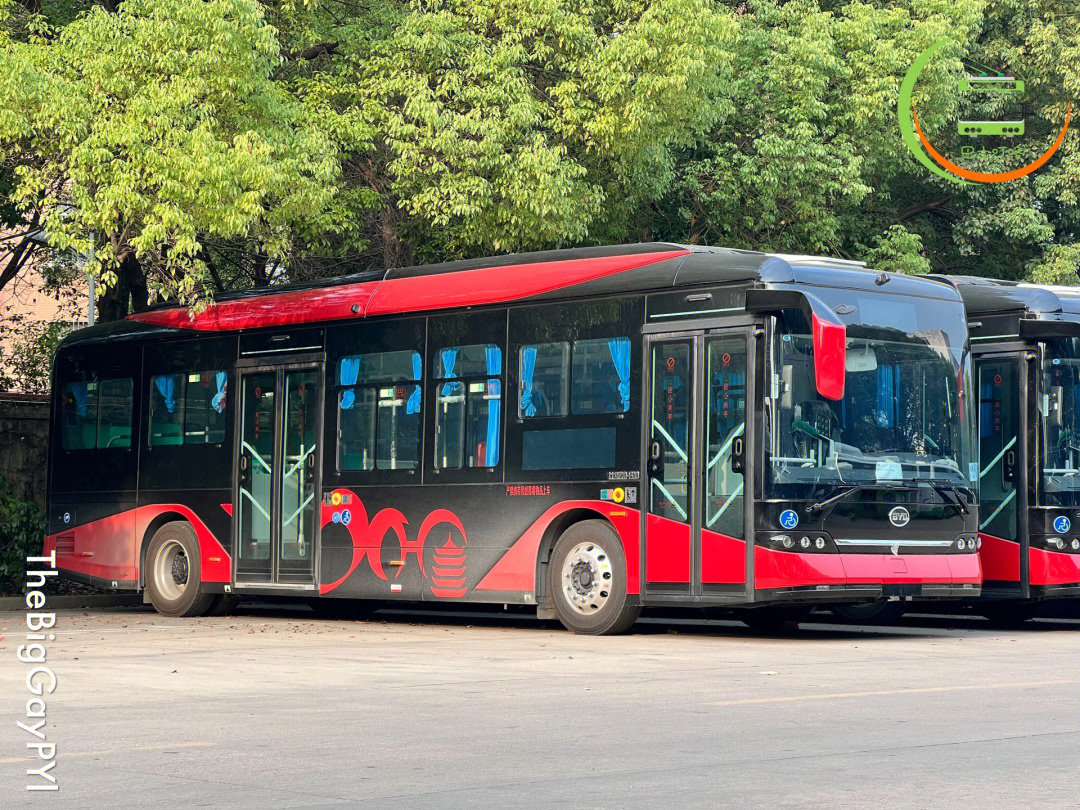 武汉公交下半年将引进比亚迪b10共218台首批两辆特色涂装近期率先抵汉