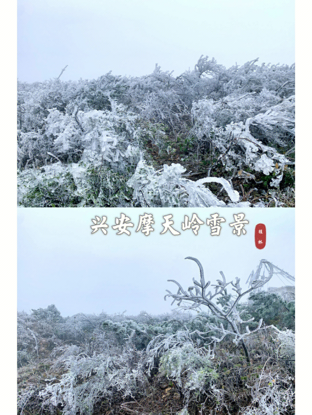桂林兴安摩天岭雪景丨南方的冬天广西桂林