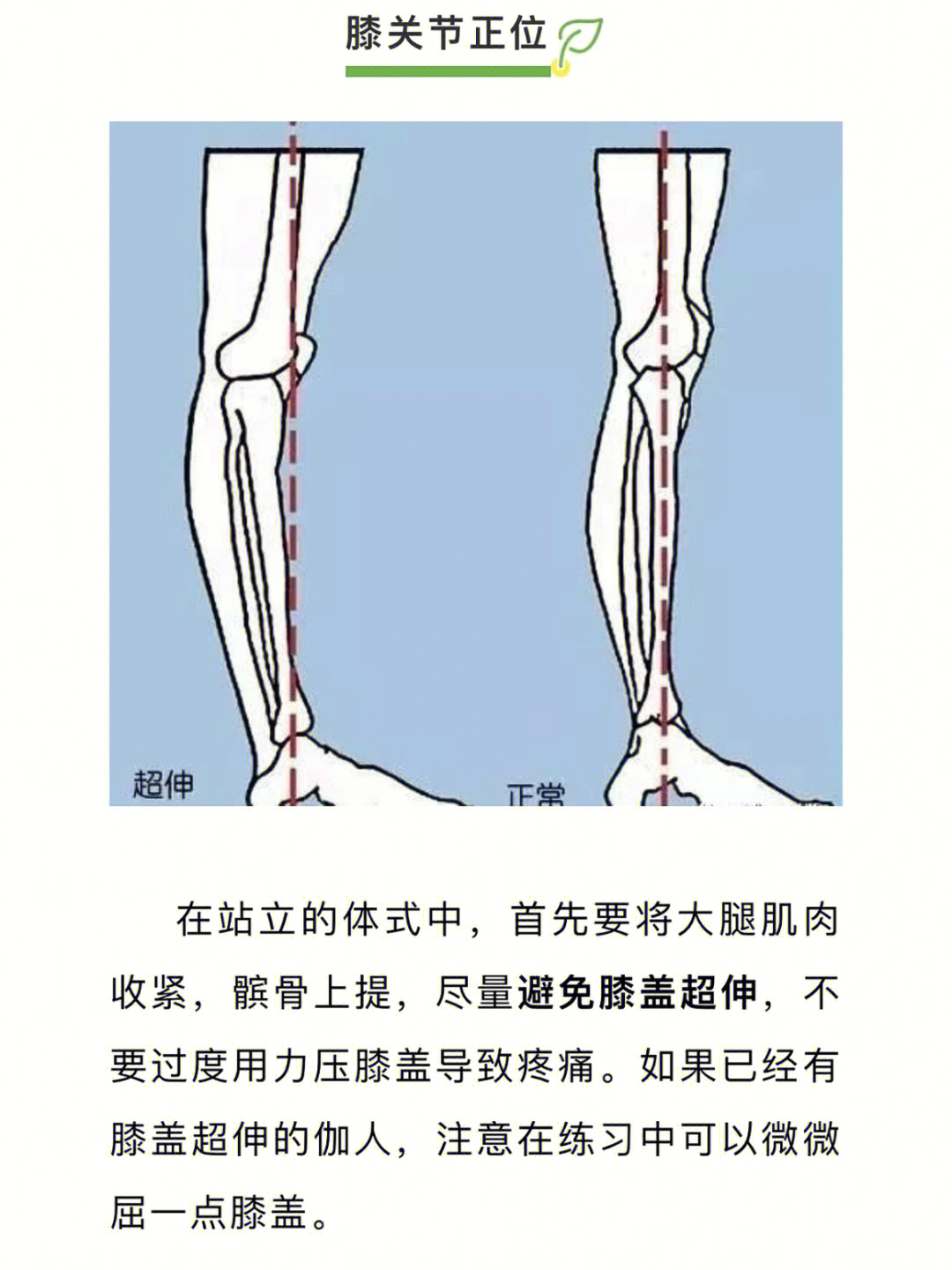 瑜伽小知识膝关节正位