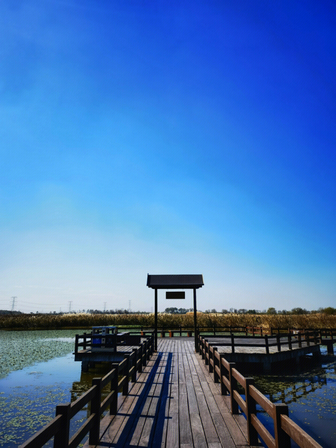 杭州下沙湿地公园介绍图片