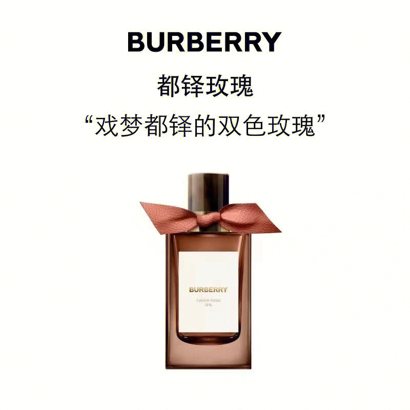 burberry都铎玫瑰