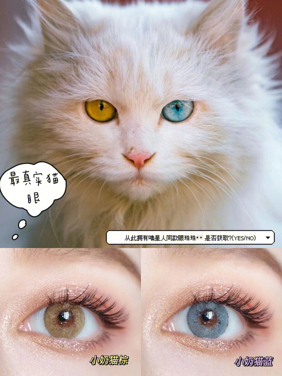 可爱的猫猫眼混血美瞳