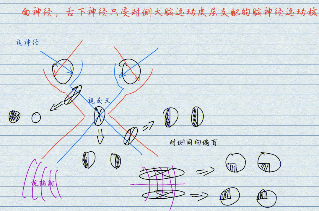 同向性偏盲图片