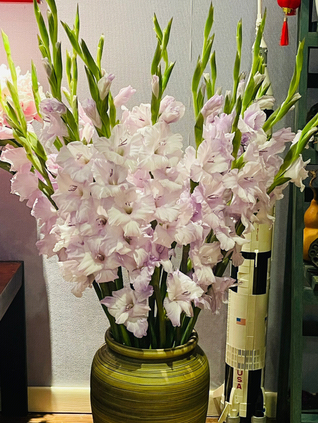 香芋紫剑兰