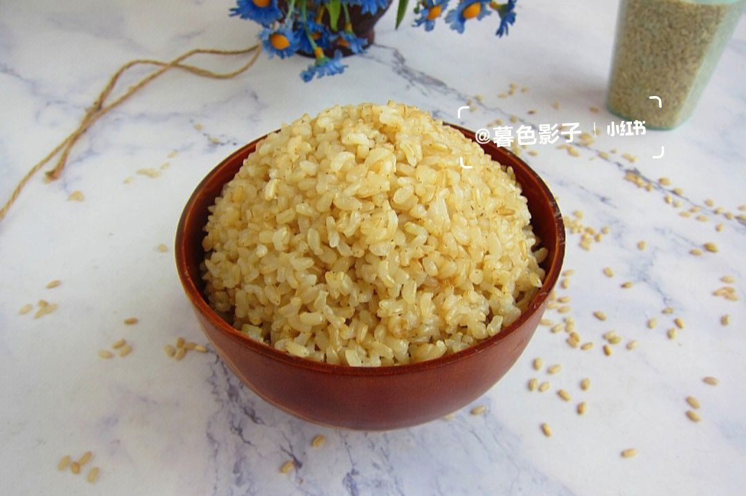 吃过发芽米饭吗