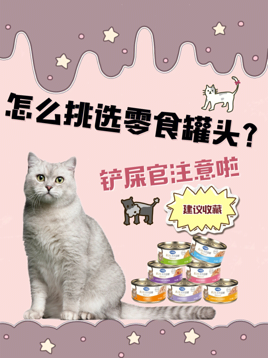 猫罐头里的黄原胶图片