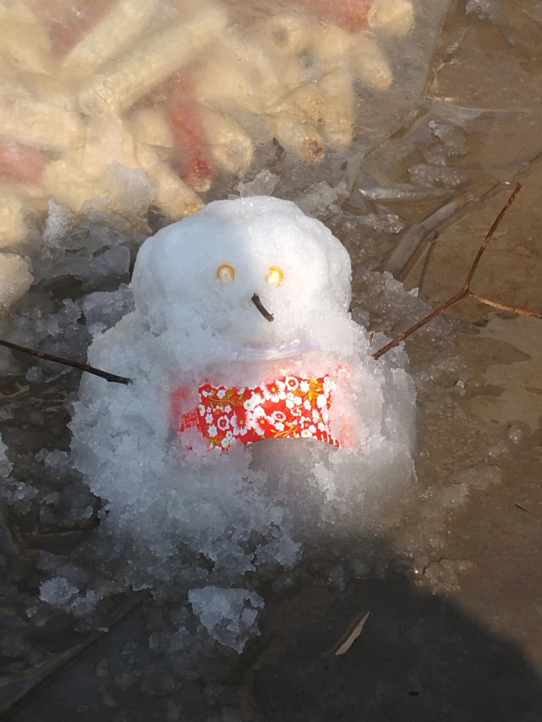 化了的雪人图片大全图片