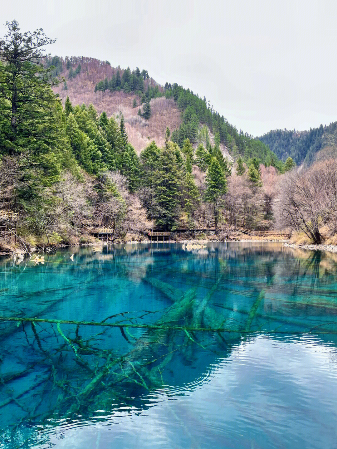 九寨沟的春夏秋冬图片