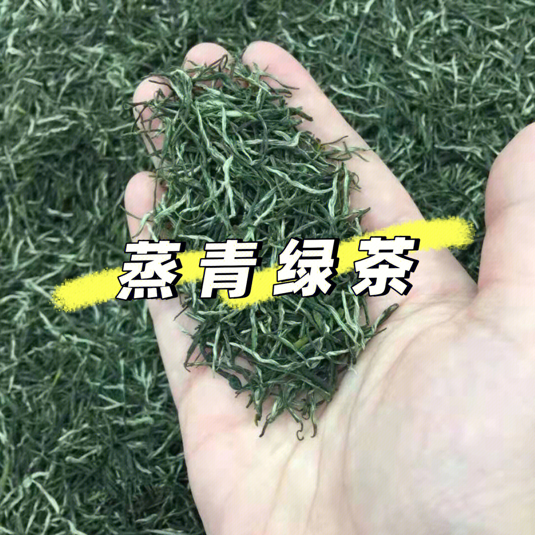 买茶必看什么是蒸青绿茶