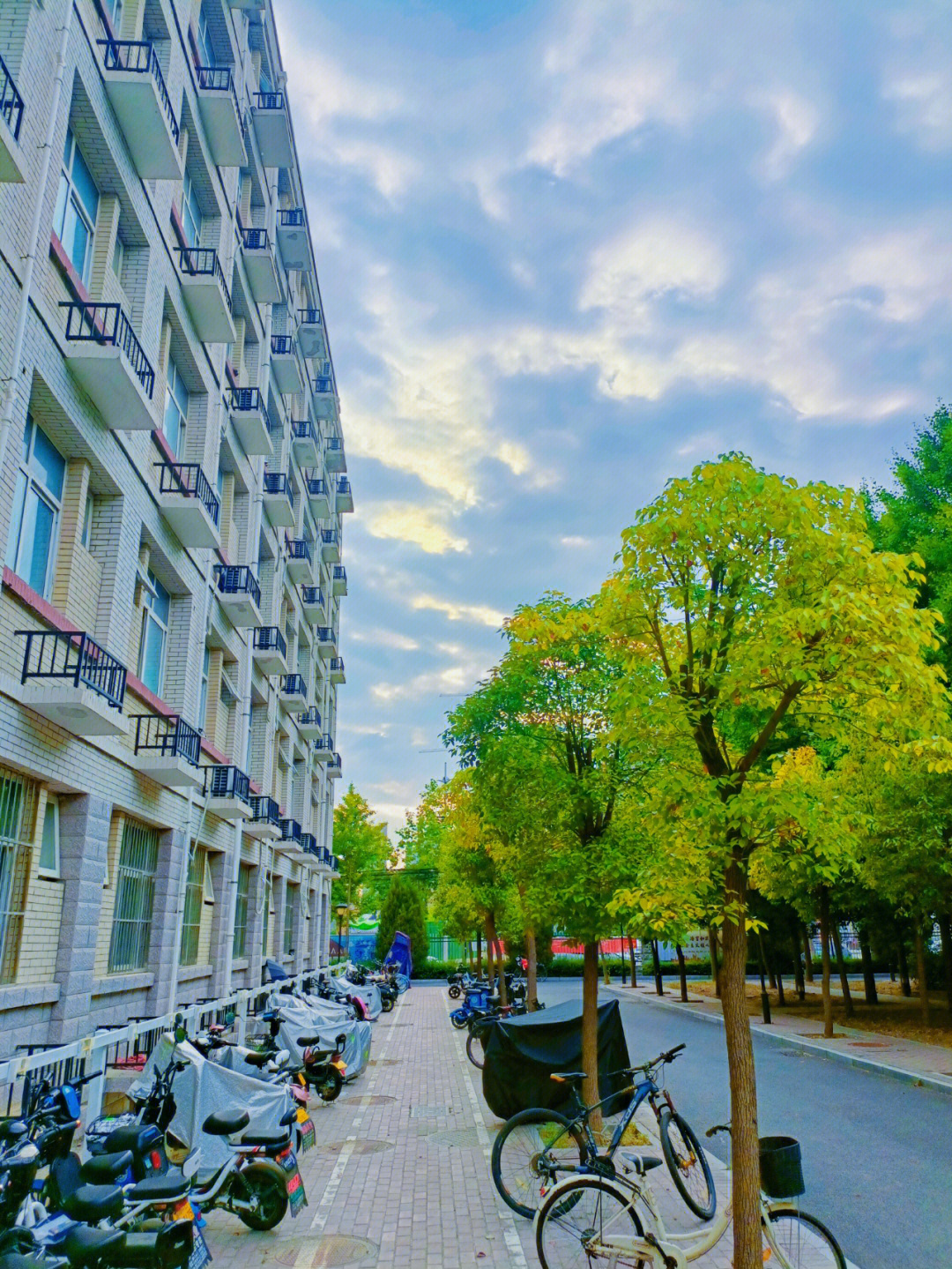 周口师范学院鸟瞰图图片