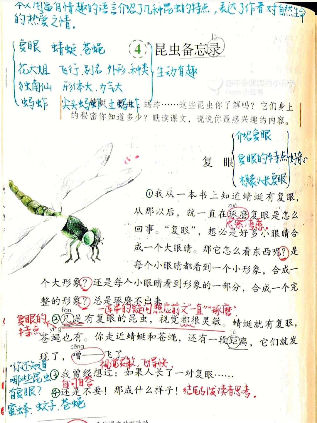 螳螂的昆虫备忘录表格图片