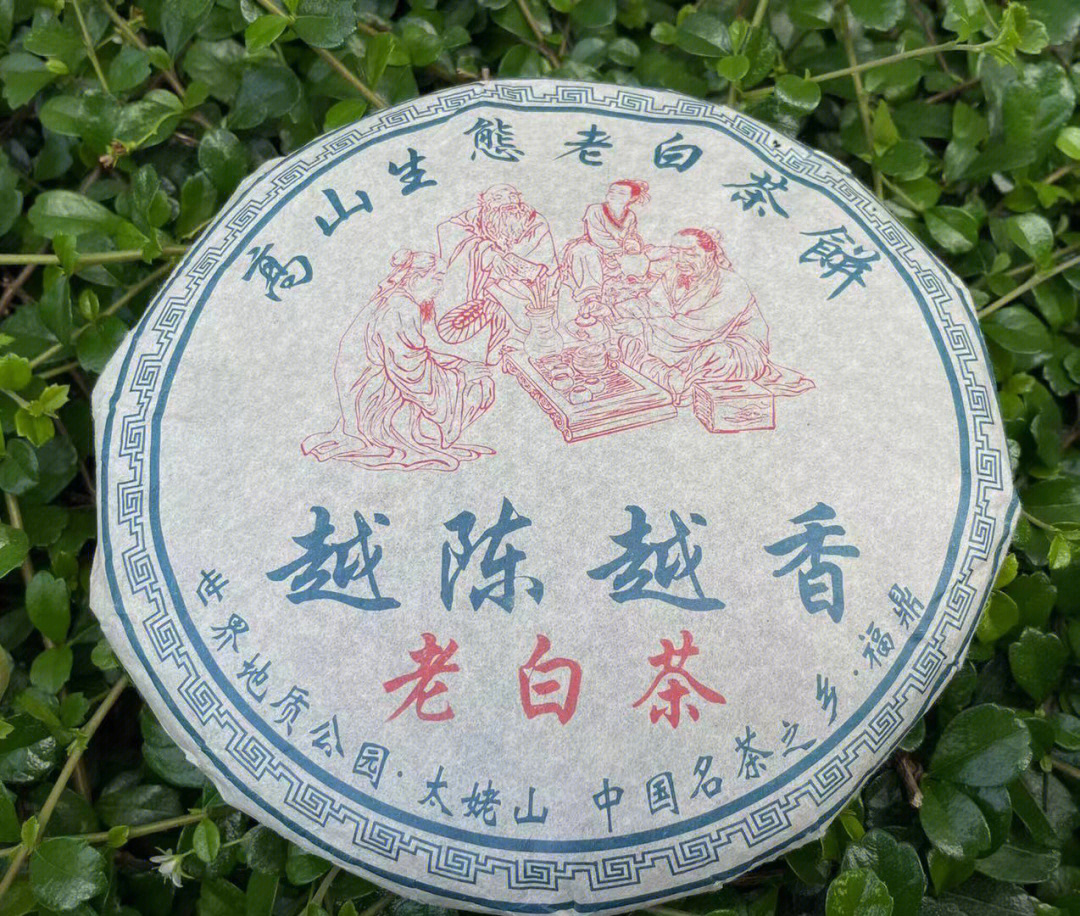景邦红老白茶图片