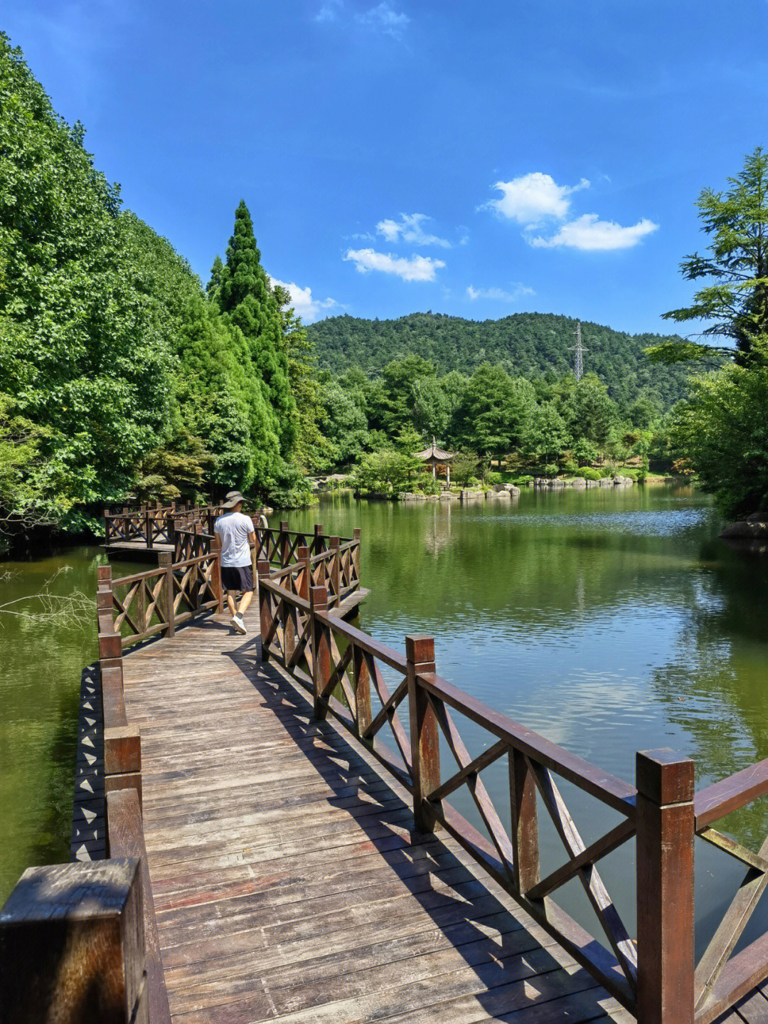 四明山仰天湖海拔图片