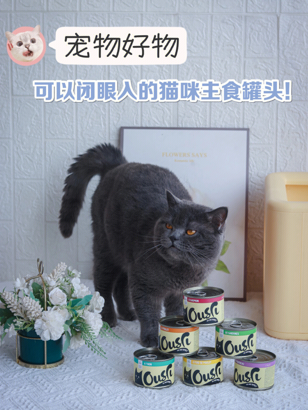 宠物好物可以闭眼入的猫咪主食罐头