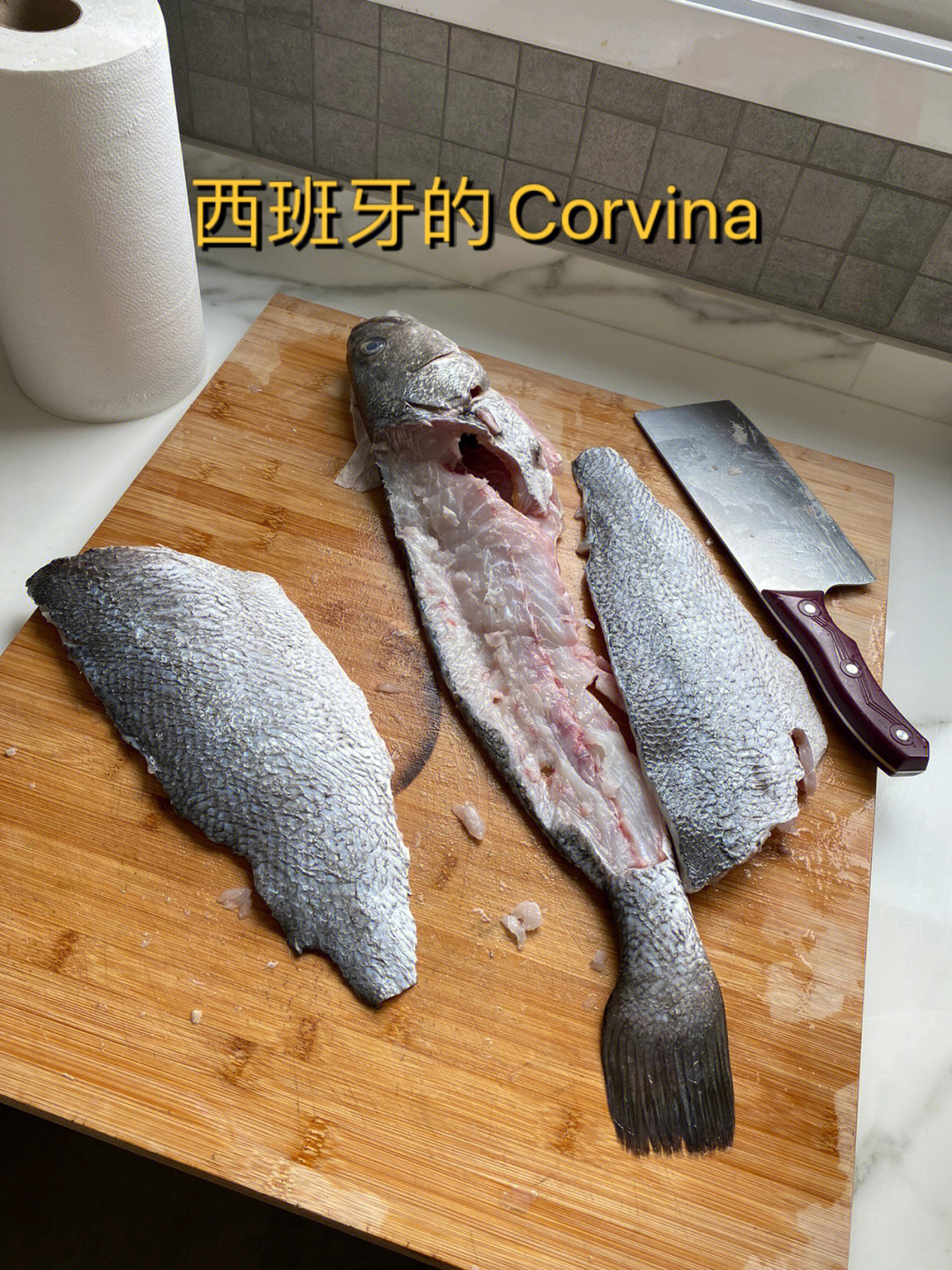 corvina图片