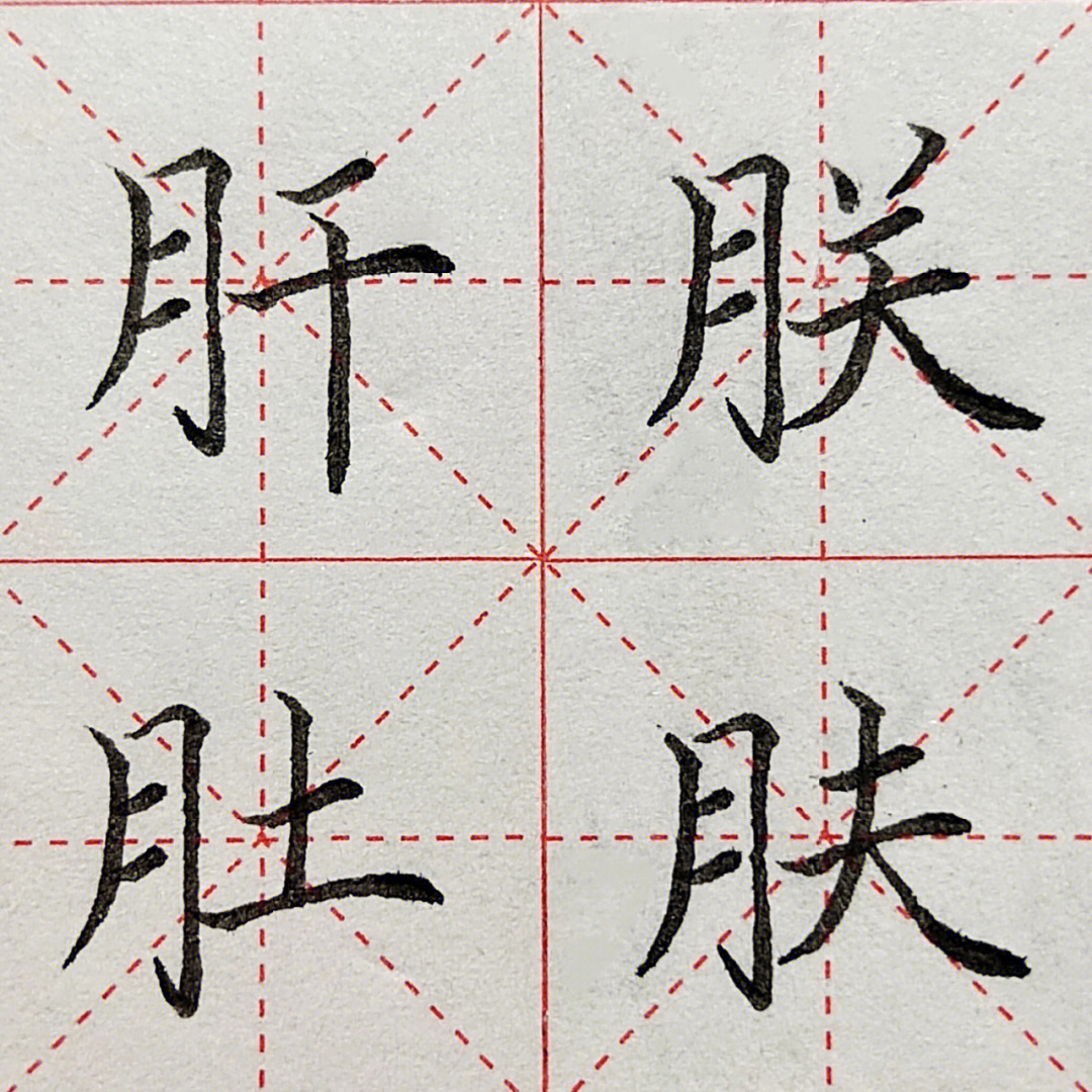 月字旁的字身体图片