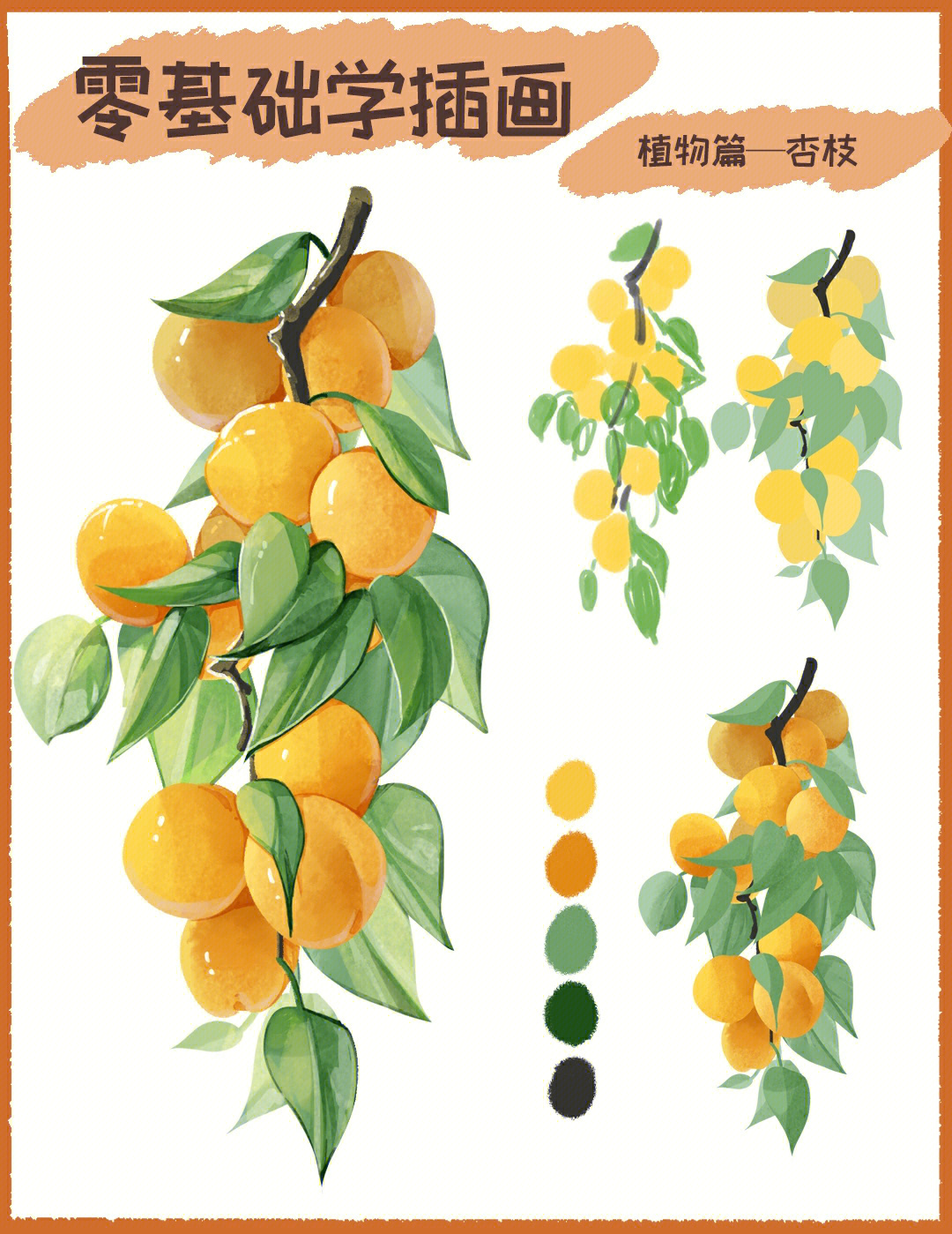 杏树的简单画法图片