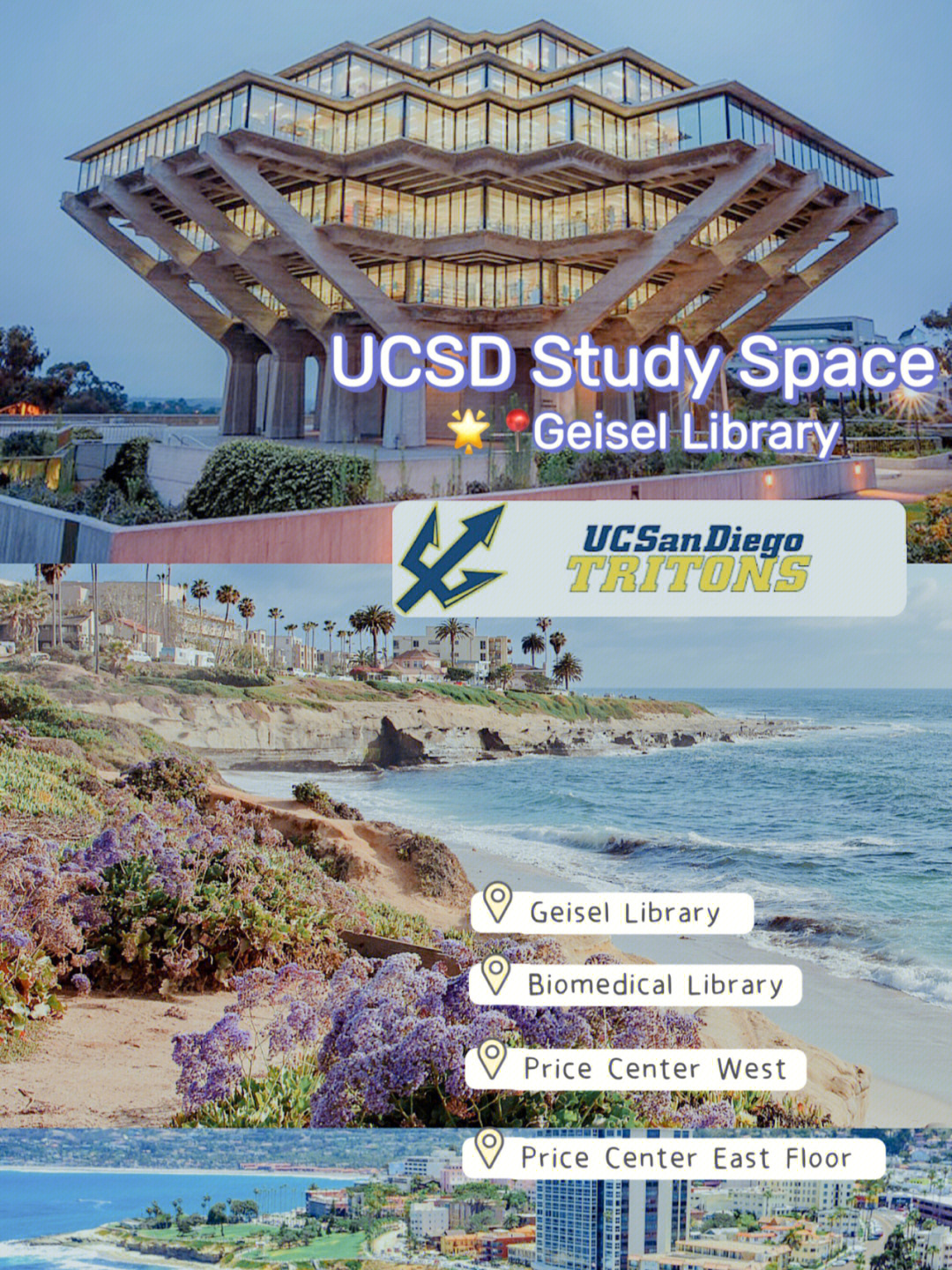 uc sandiego图片