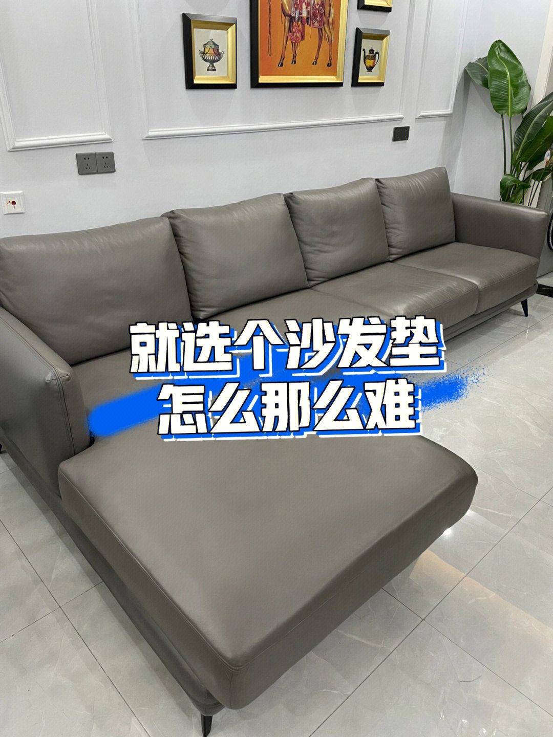 沙发如果是你家的沙发垫你怎么选
