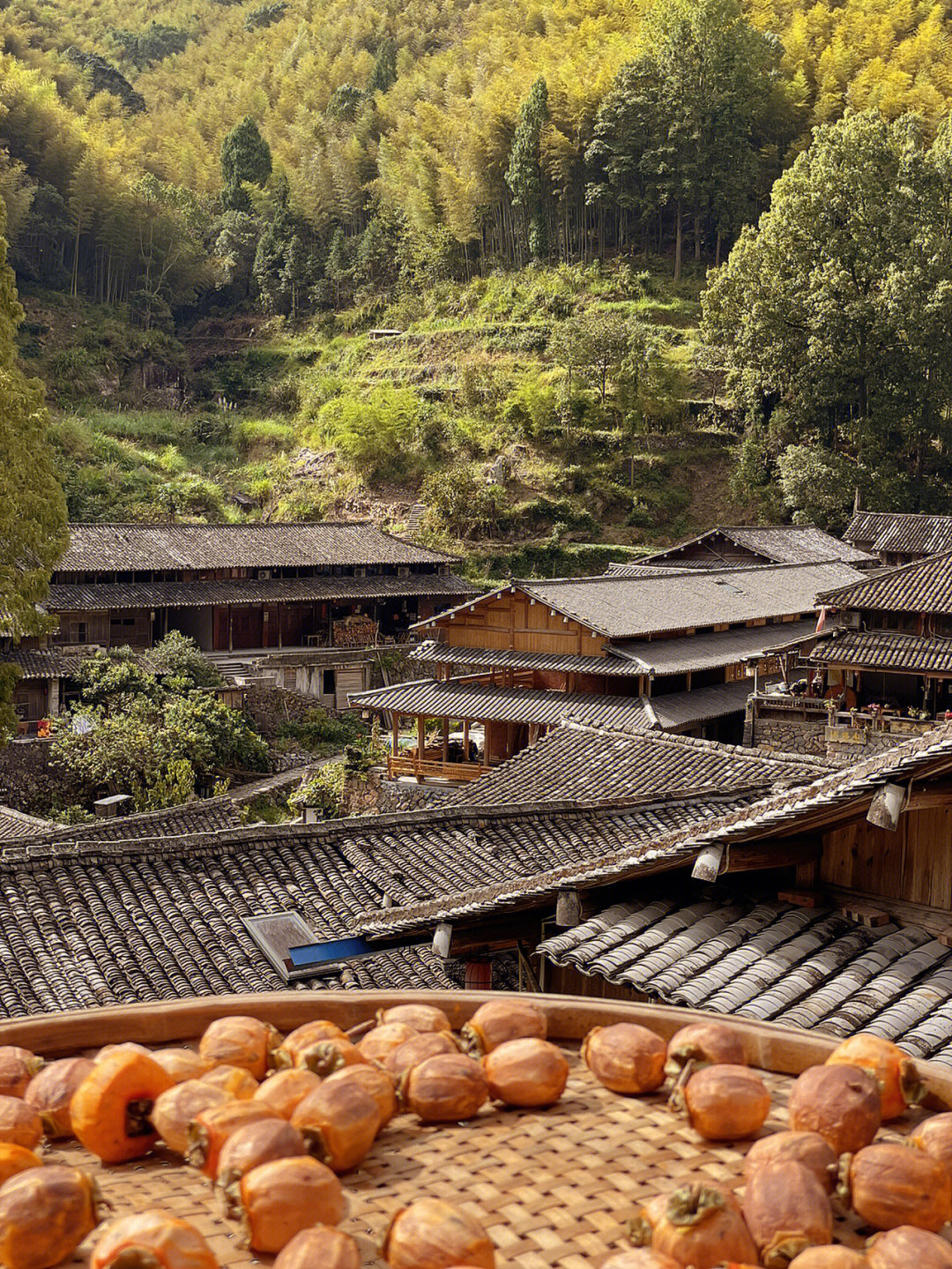 永嘉林坑古村在哪里图片