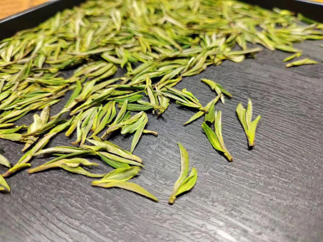 安吉白茶头茶明前茶