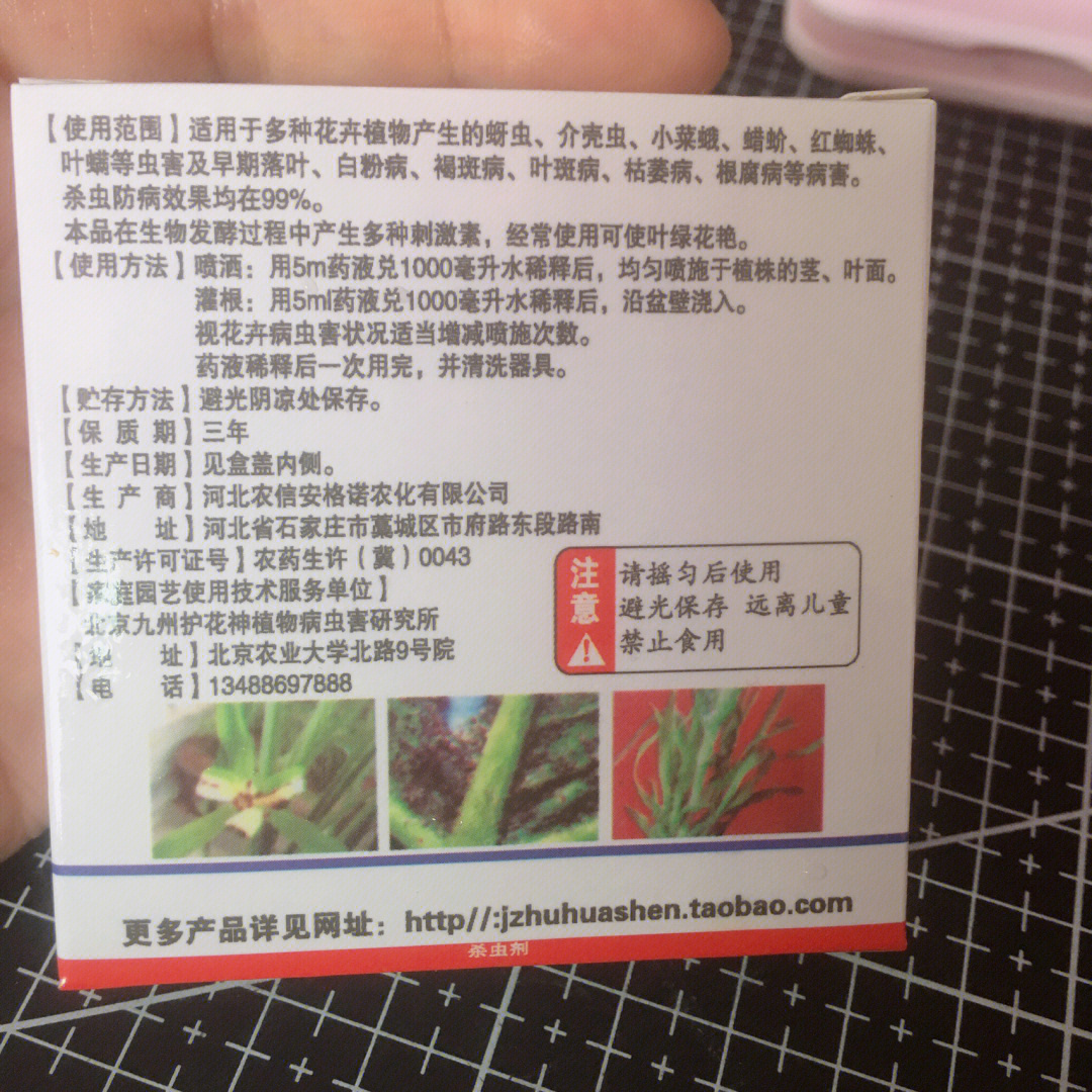 月季花常见病用药图片