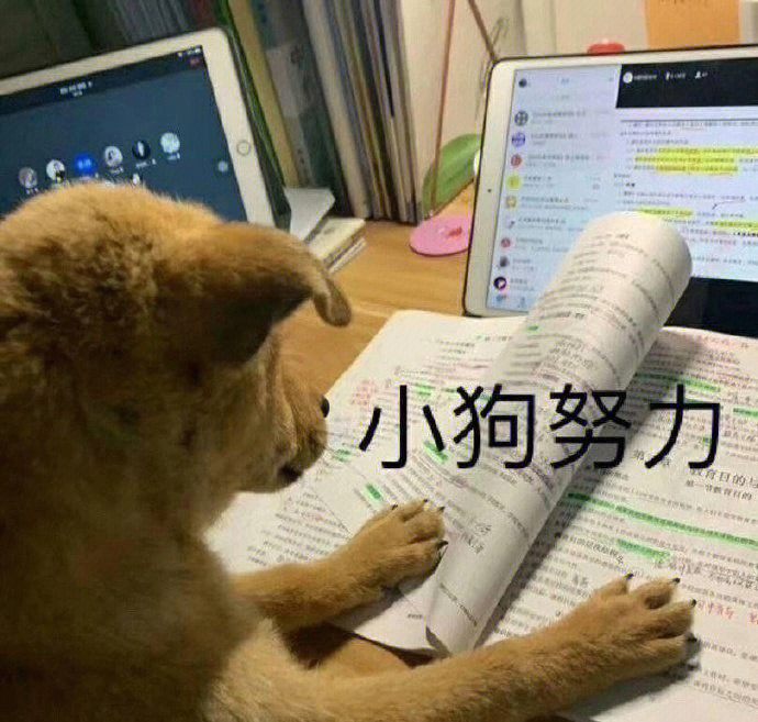 我爱学习学习爱我好好复习#表情包#表情包分享#我最爱的表情包