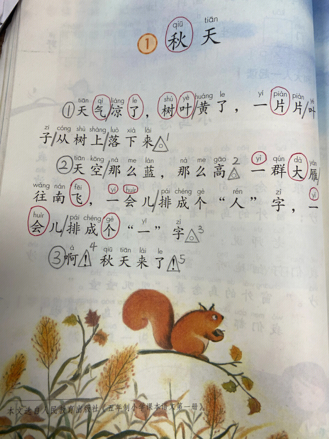 秋天课文一年级生字图片