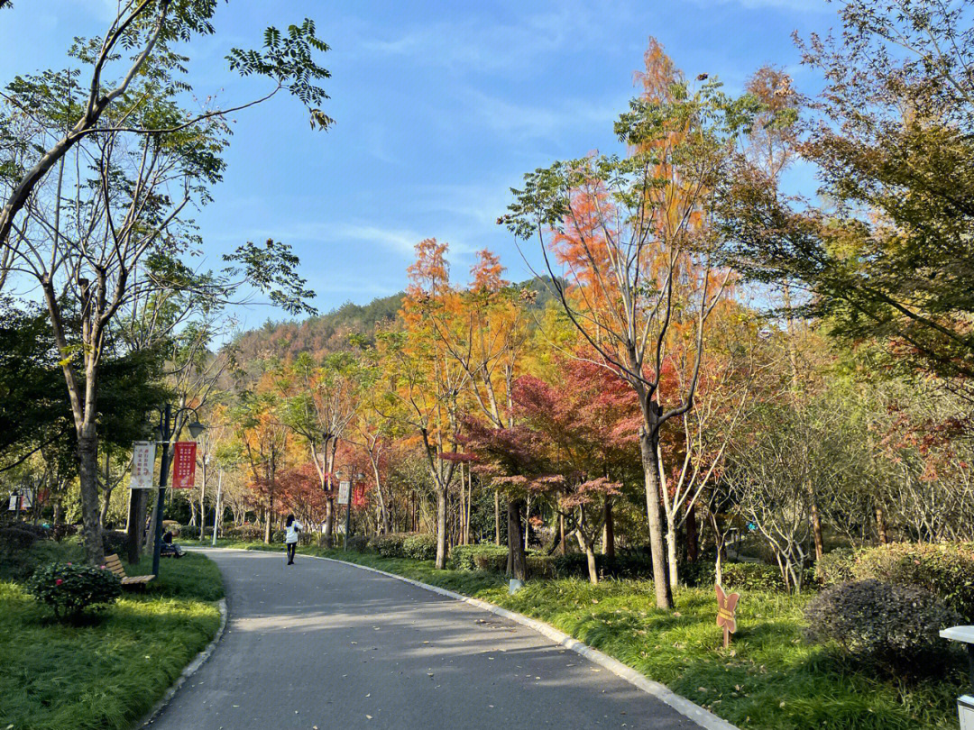 中央山公园景点介绍图片