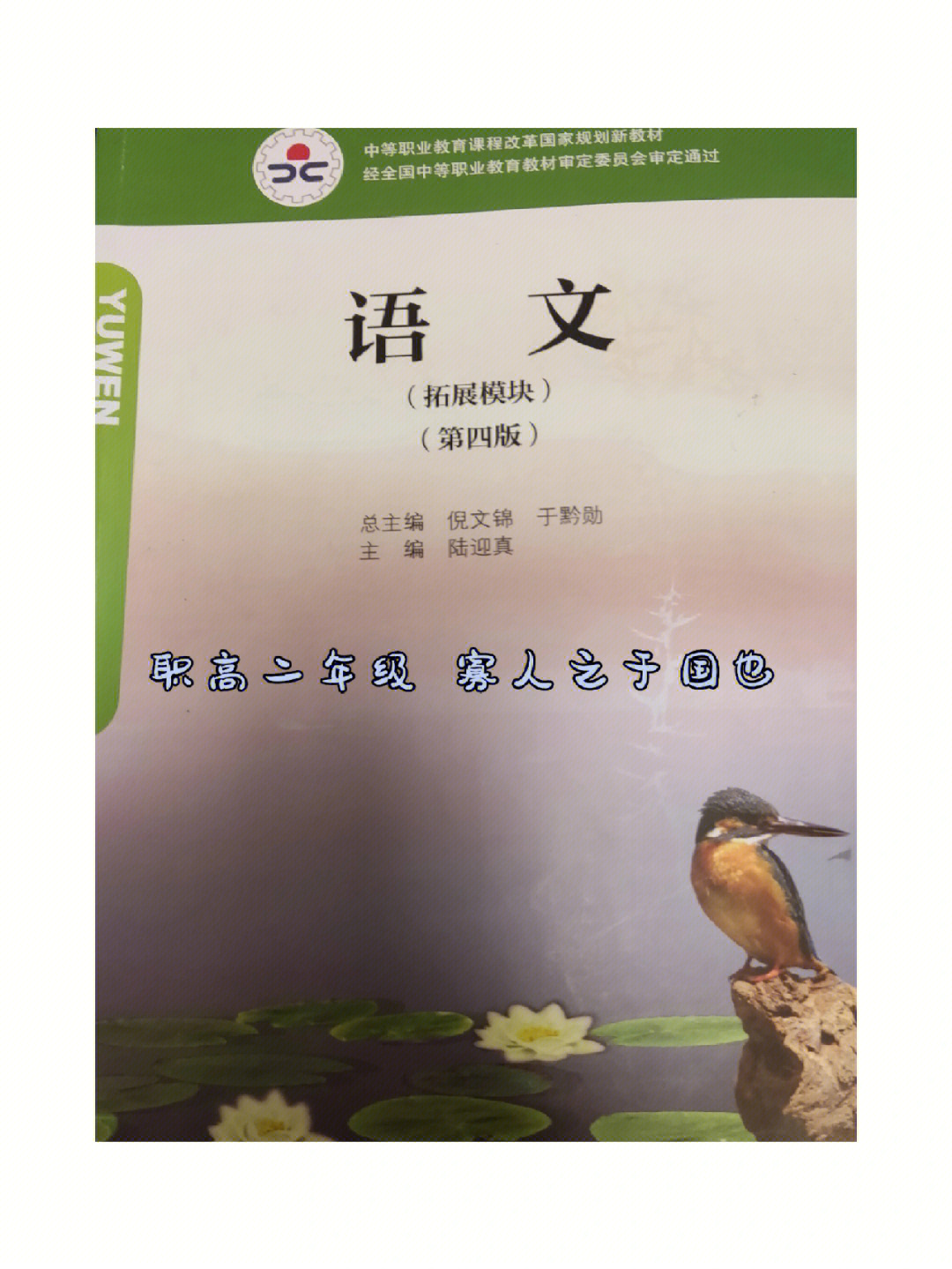 寡人之于国也课本照片图片