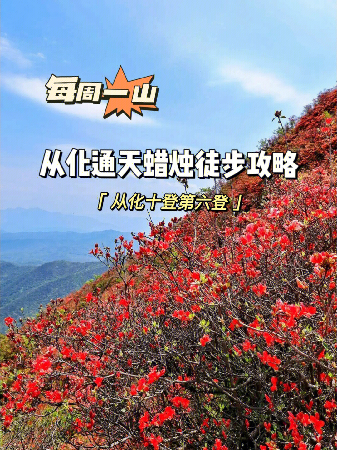 满山红止咳糖浆图片