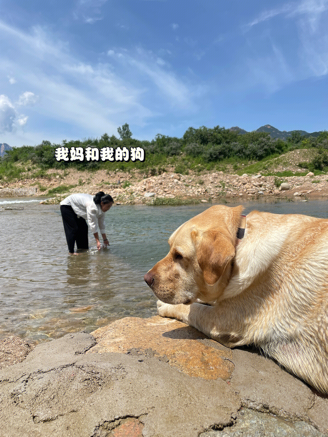 妈妈和猛犬阿拉斯加图片