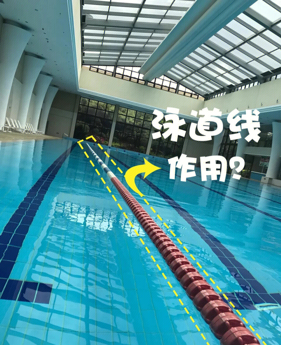 50米泳池标志线示意图图片