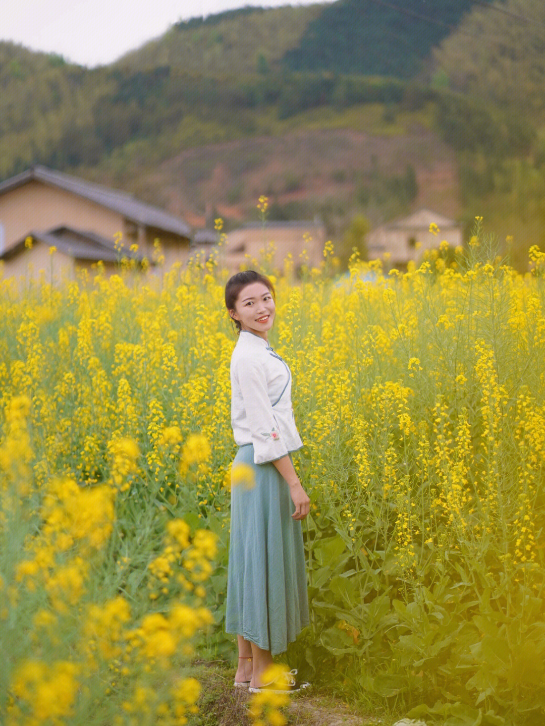 油菜花姿态图片