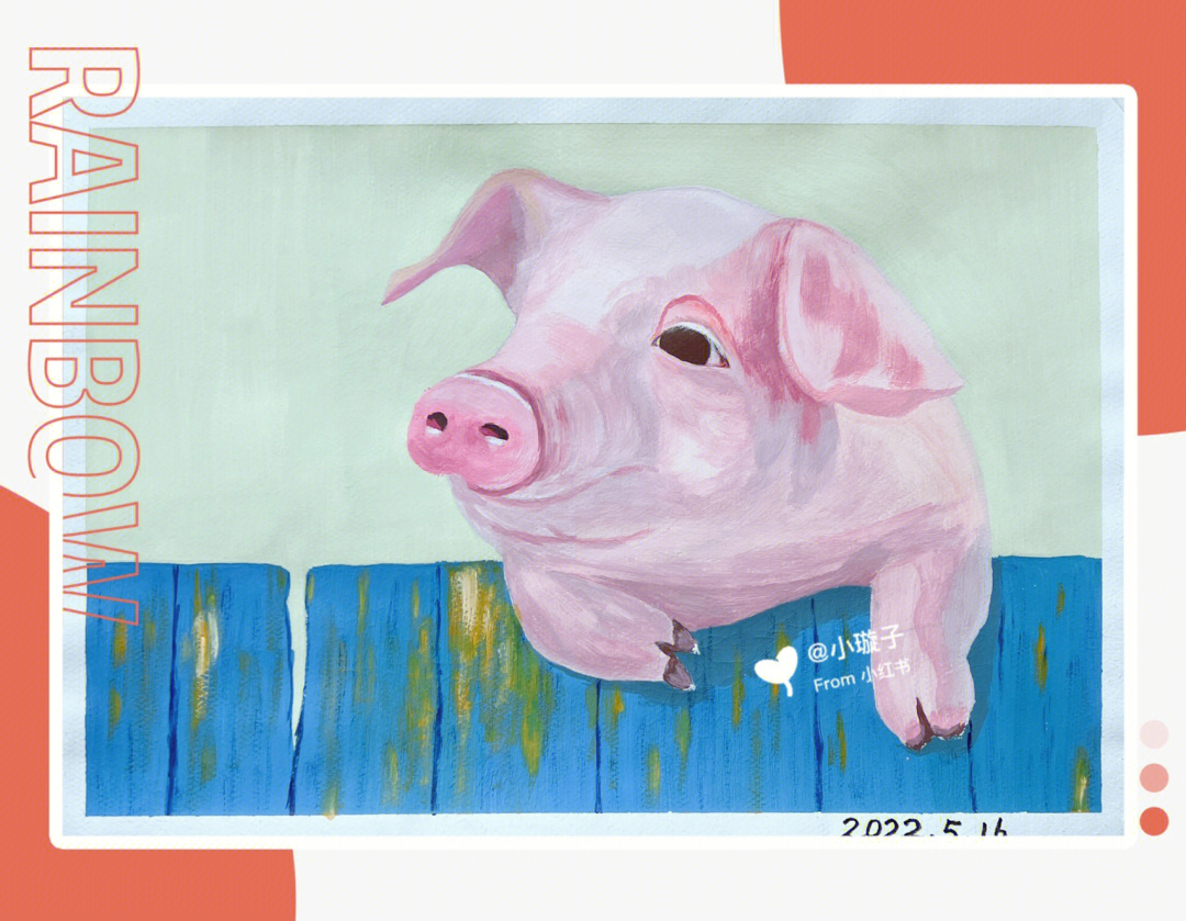 水粉一只猪的眺望附线稿