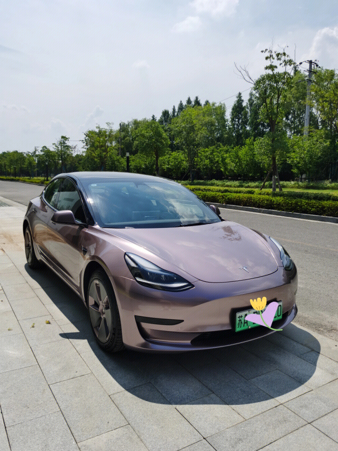 model3保时捷原厂冰莓粉