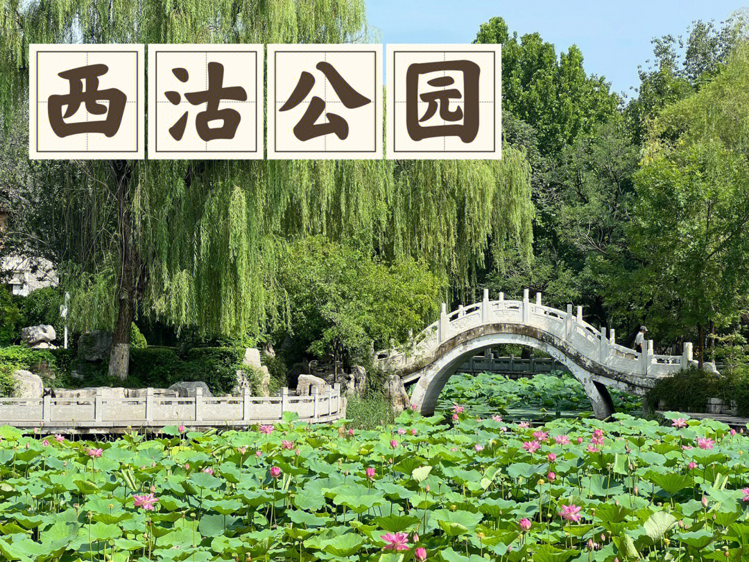天津西沽公园平面图图片