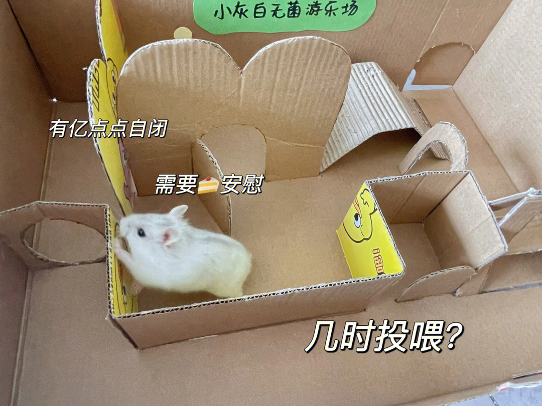 纸盒改造造一个仓鼠游乐场