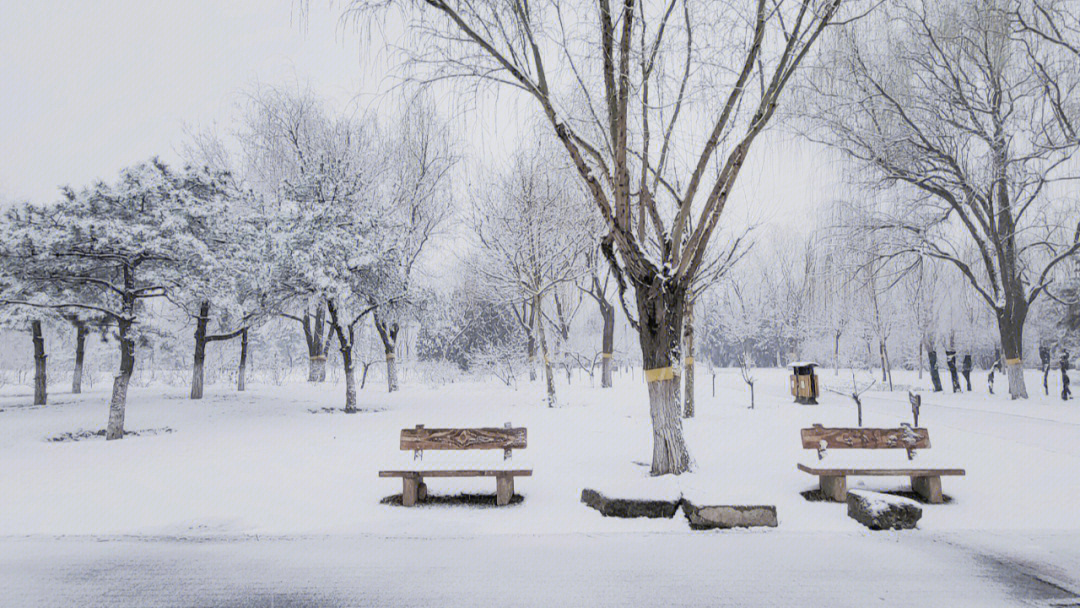 北京i三月的雪