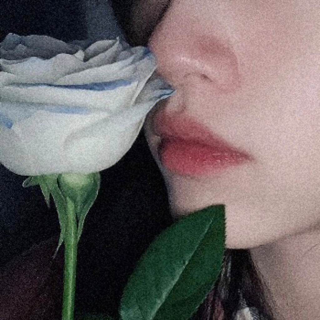 手拿白色玫瑰花头像图片