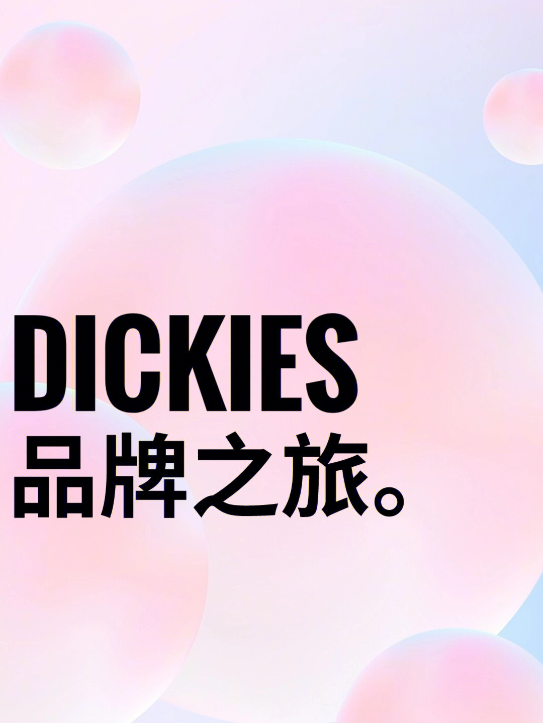 dickies中文图片
