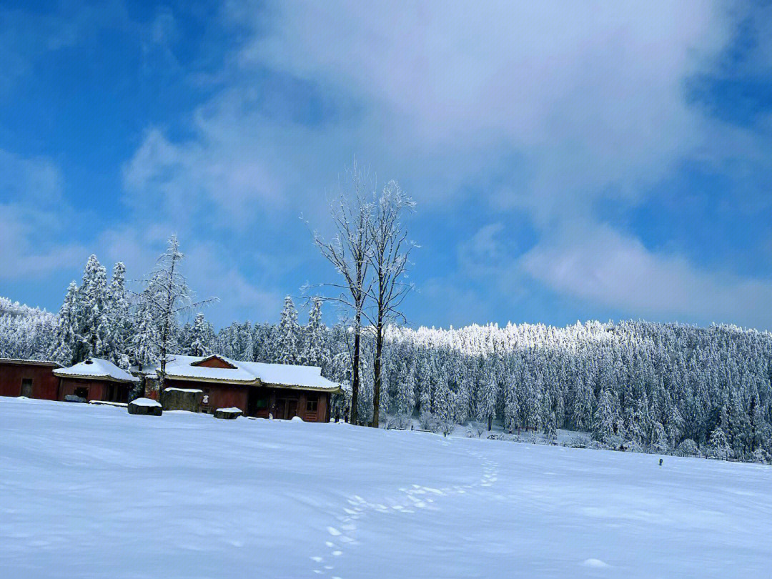 仙女山也有童话般的雪景