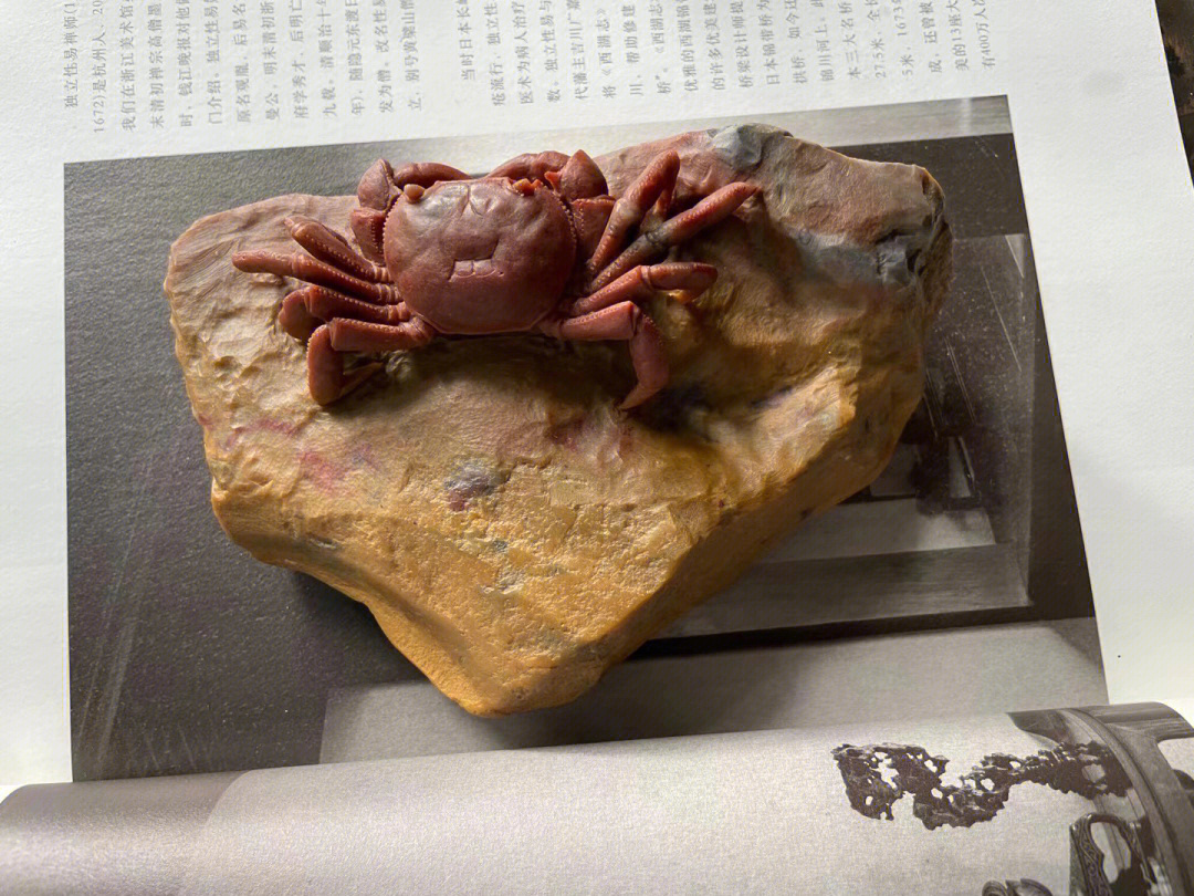 螃蟹雕刻方法图解图片